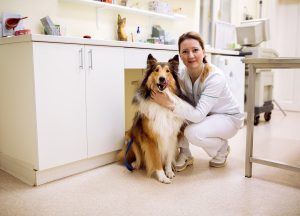 Pets and Pet Care